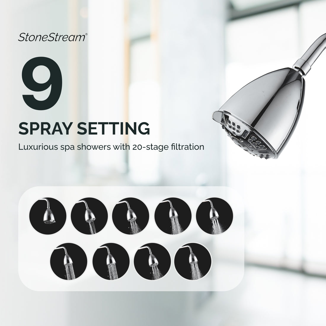 20-stufige Filtration Multi-Mode Ecolux Wandduschkopf