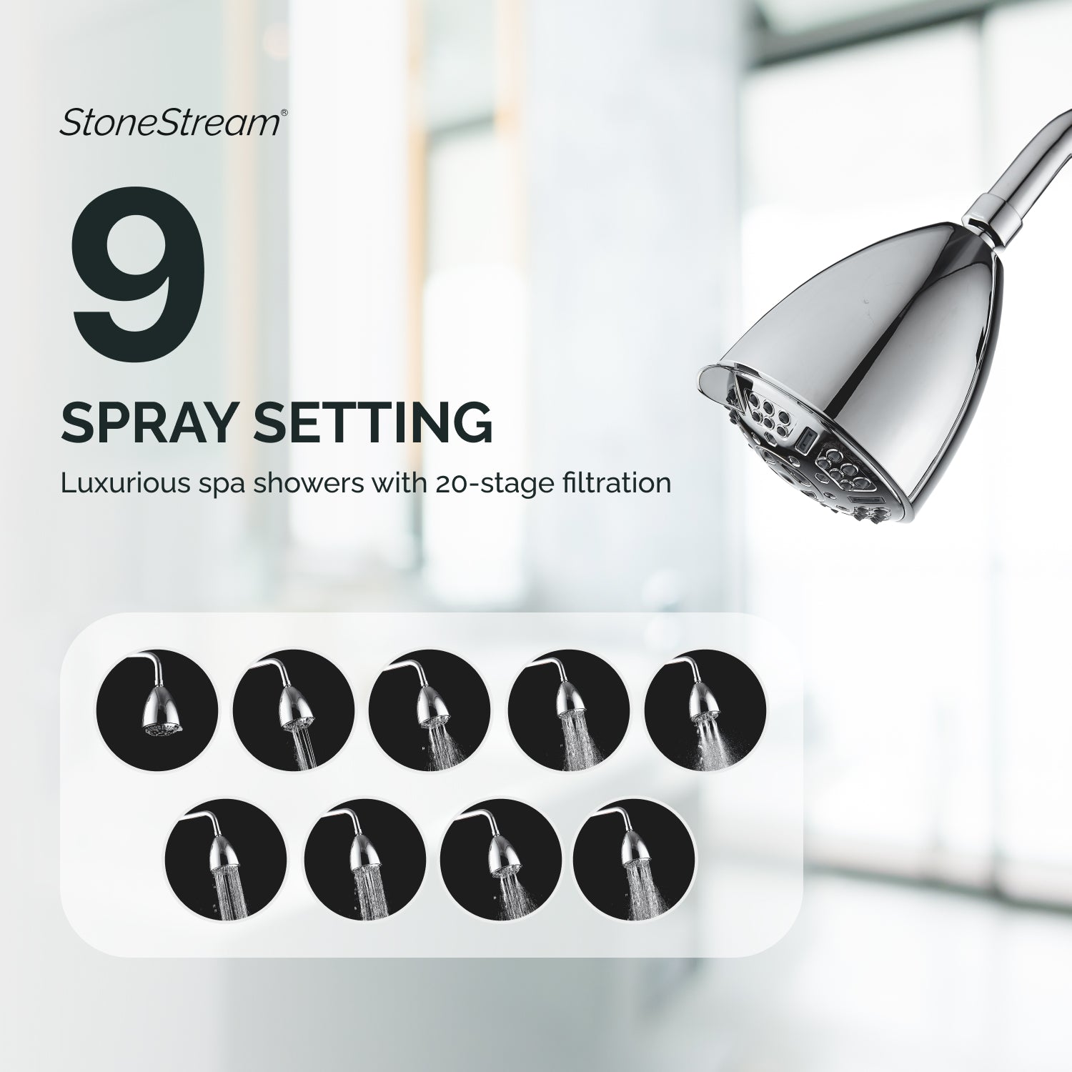 20-stufige Filtration Multi-Mode Ecolux Wandduschkopf