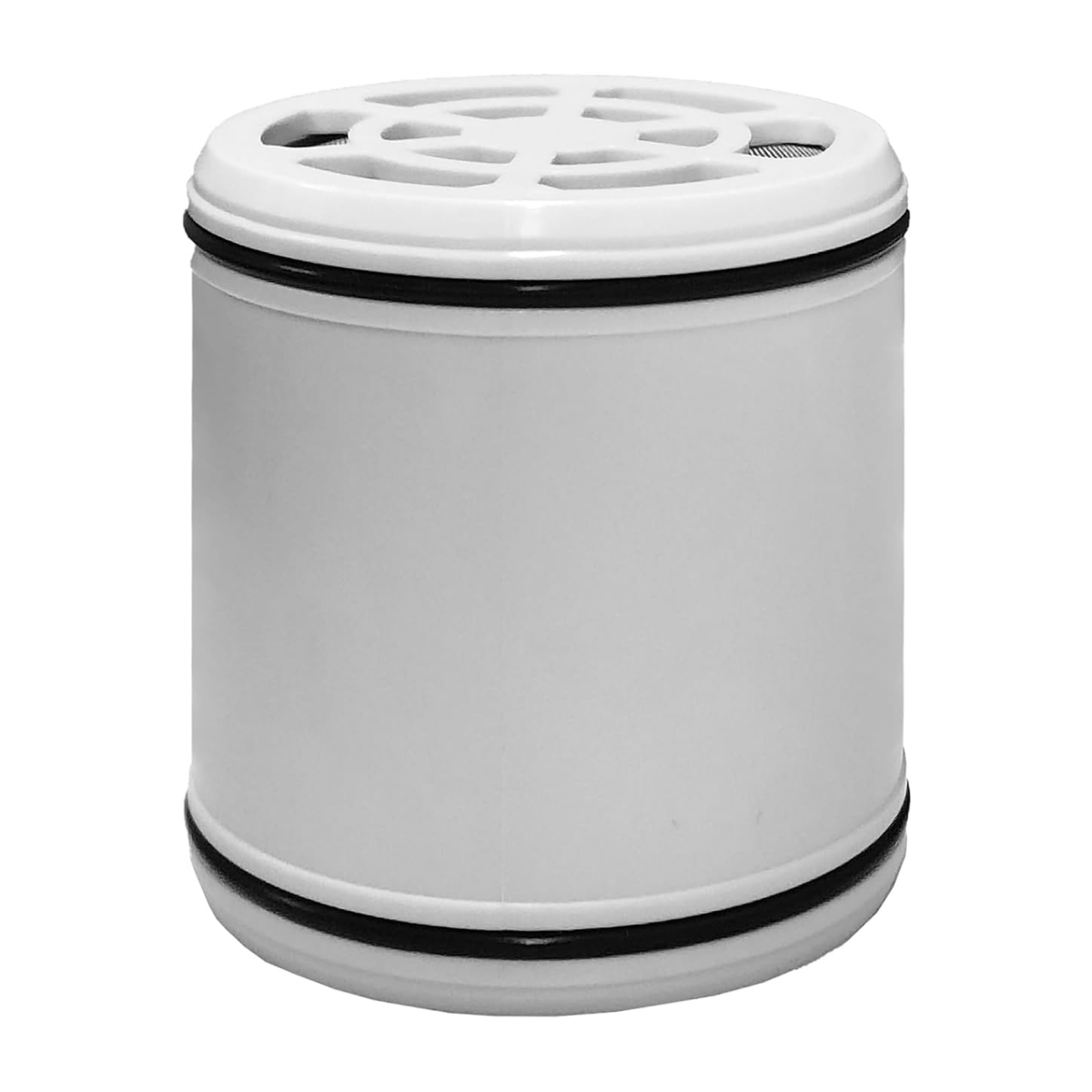 Replacement Cartridge for Shower Head with Rainfall Spray